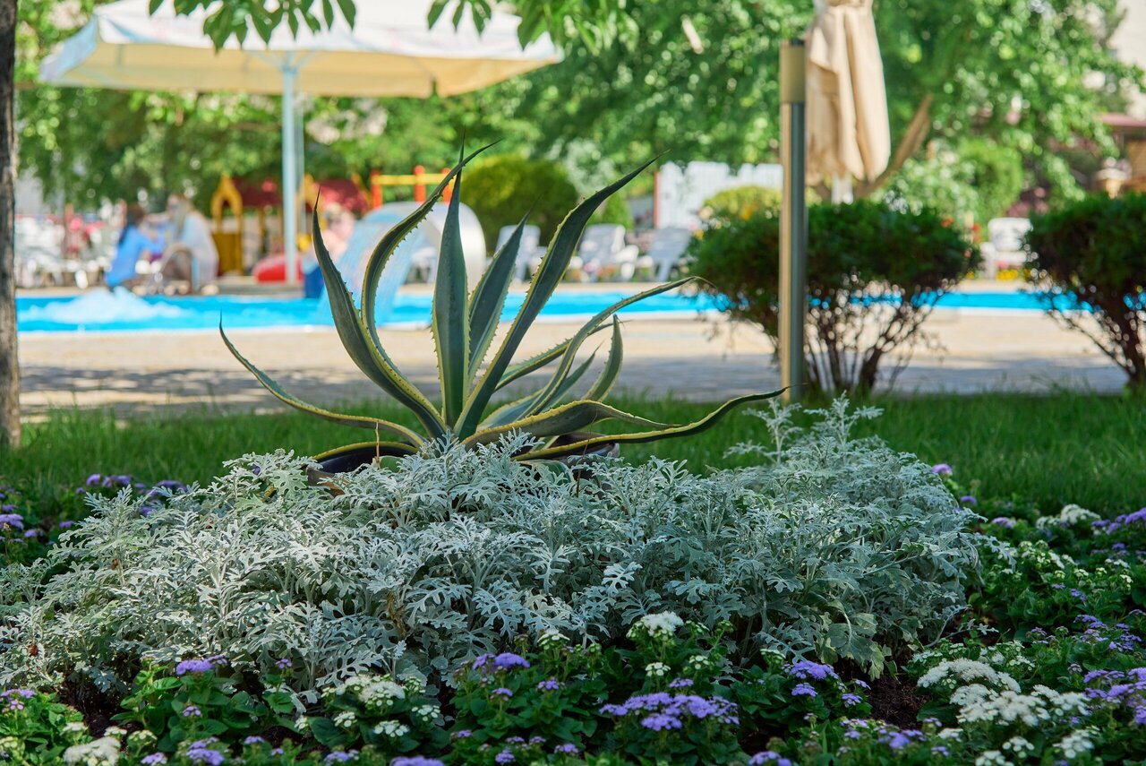 Гостиница Де ла Мапа Анапа-246