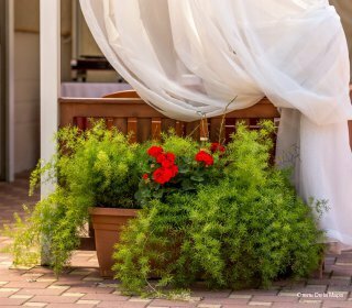 Гостиница Де ла Мапа Анапа-67