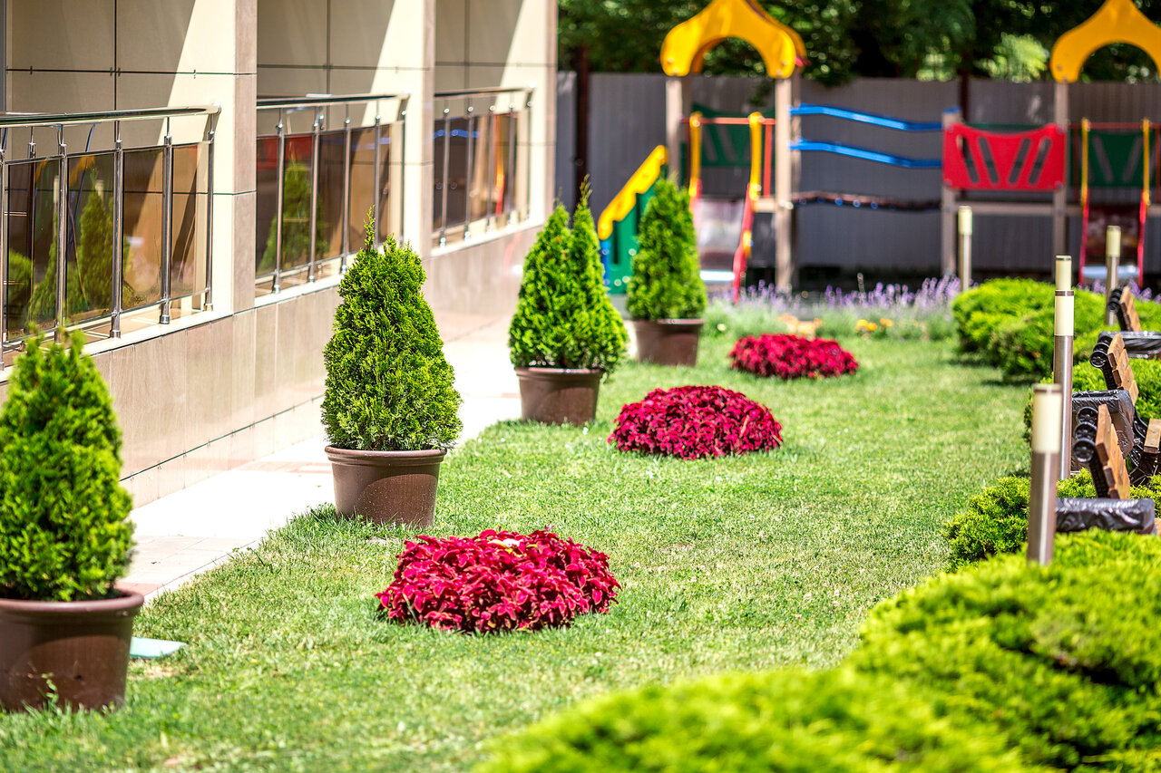 Гостиница Де ла Мапа Анапа-42