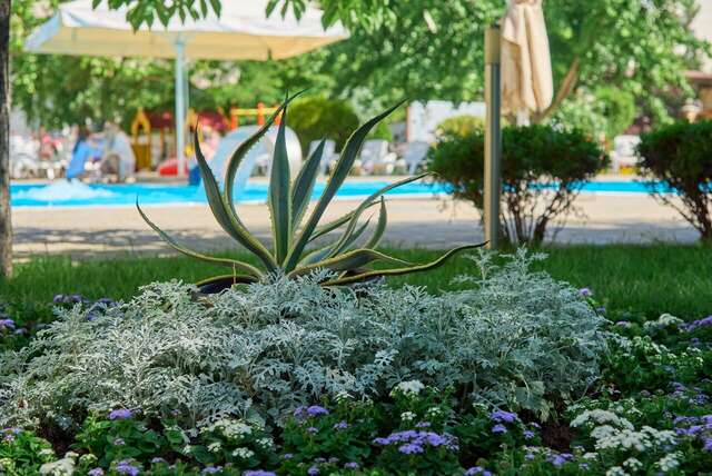 Гостиница Де ла Мапа Анапа-245